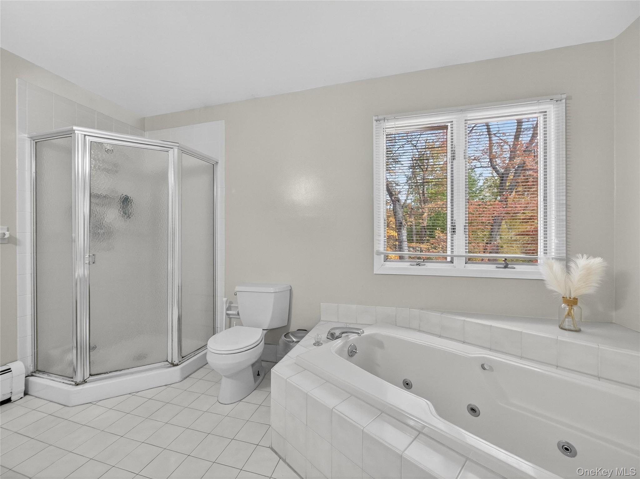 19 Paul Court, Pearl River, NY 10965