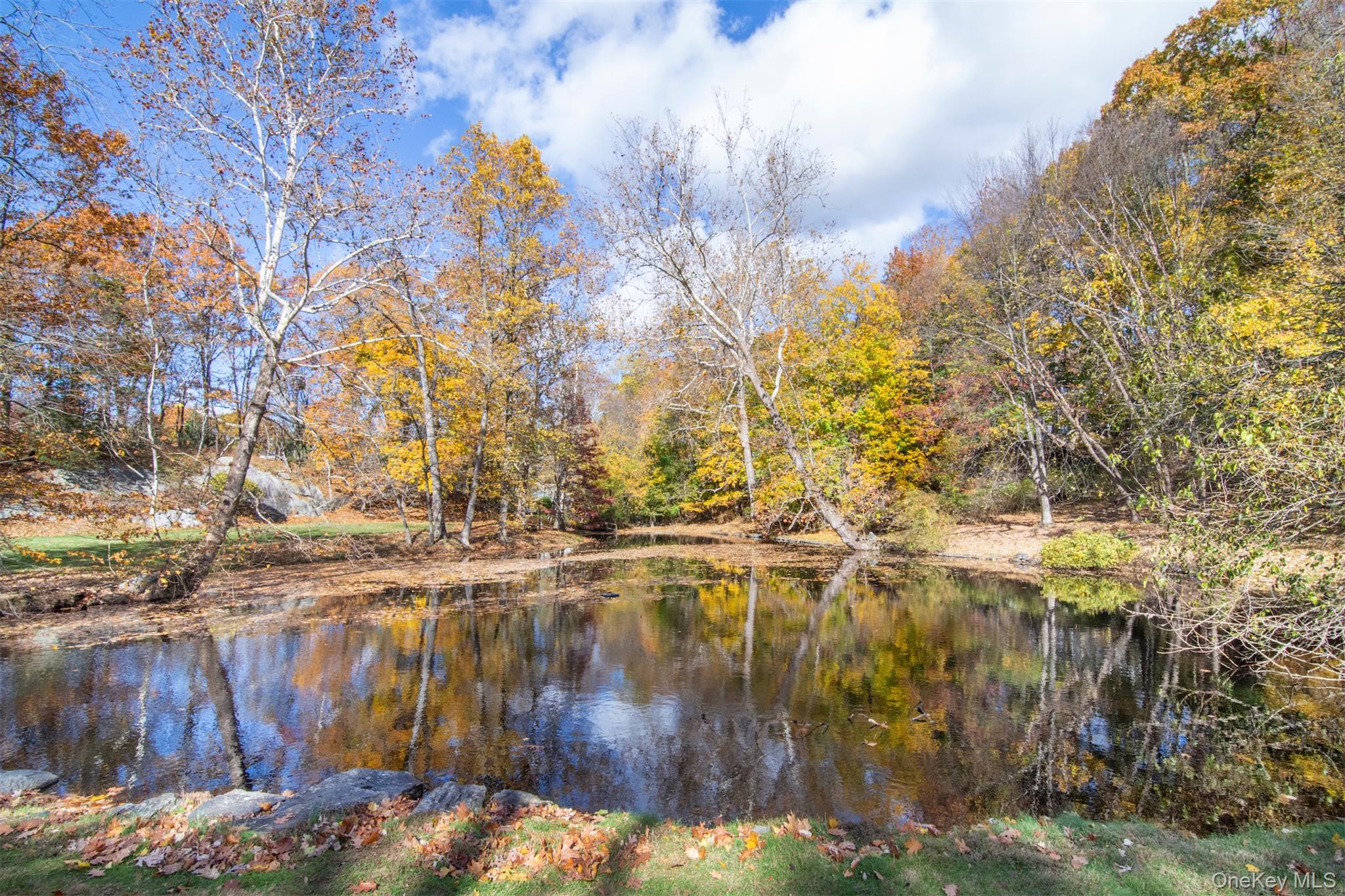 372 Birch Lane, Irvington, NY 10533