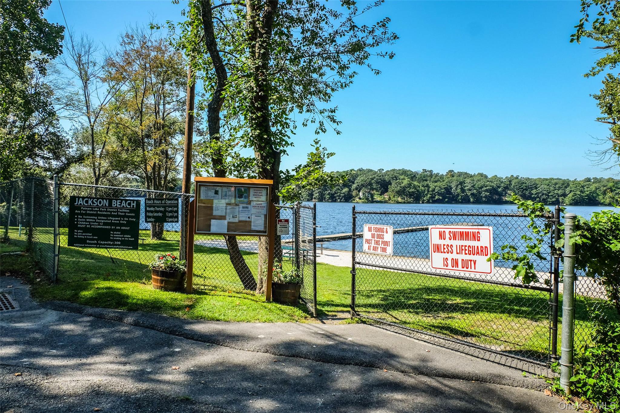 13 Ripley Road, Patterson, NY 12563