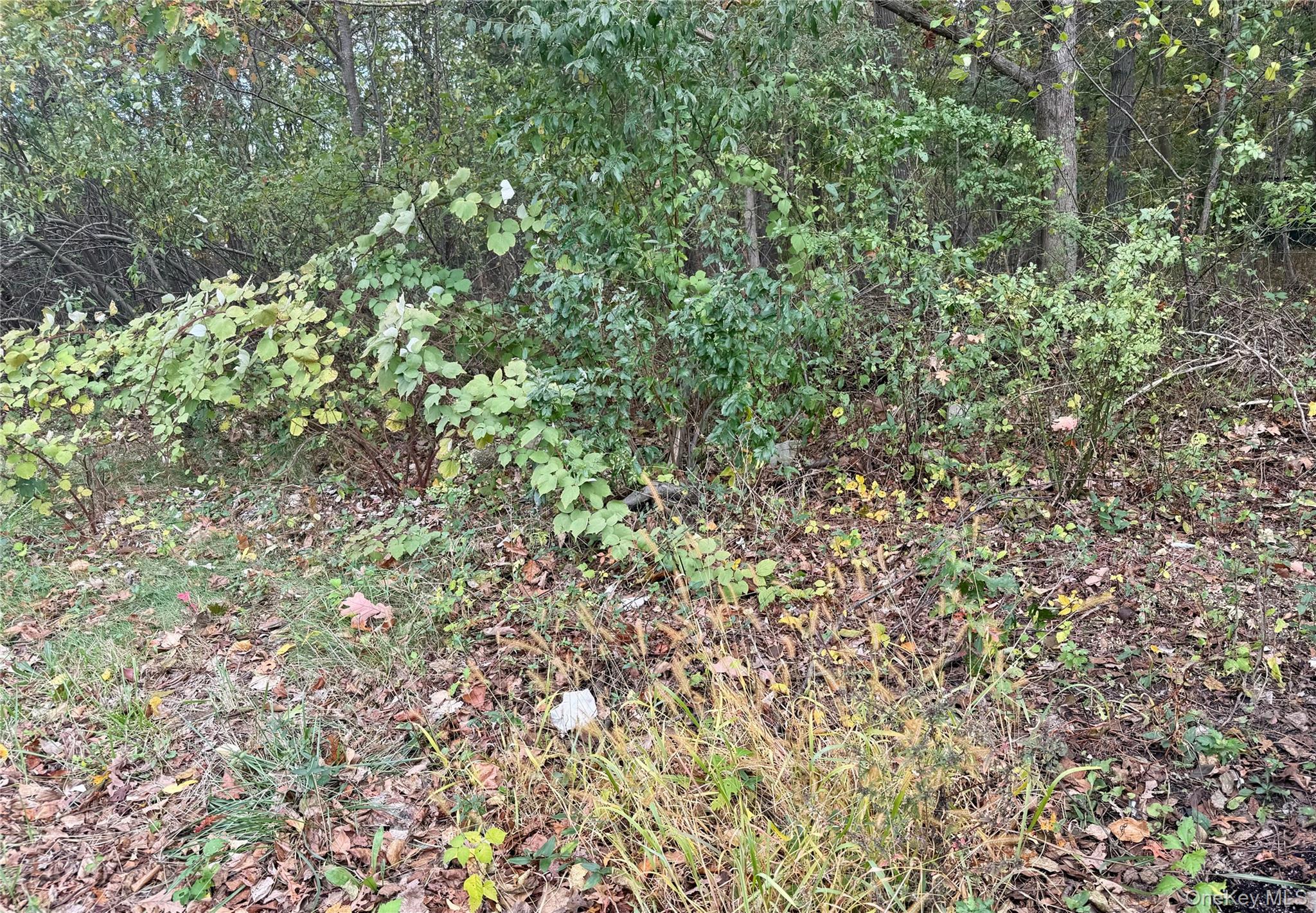 0 Phoenix Avenue, Port Jefferson Station, NY 11776