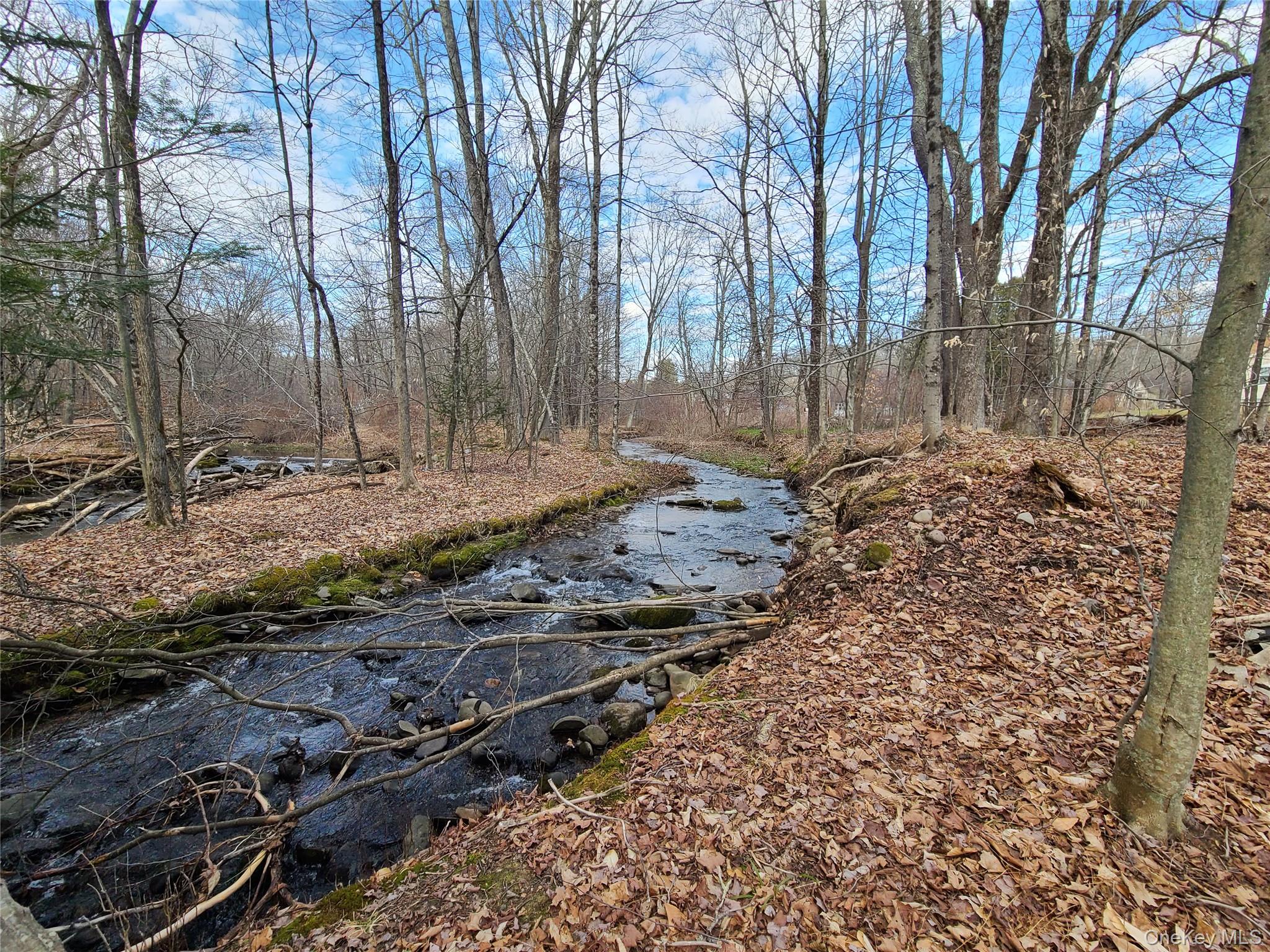 *00 Rt. 52 and Mineral Springs Road, White Sulphur Spring, NY 12787