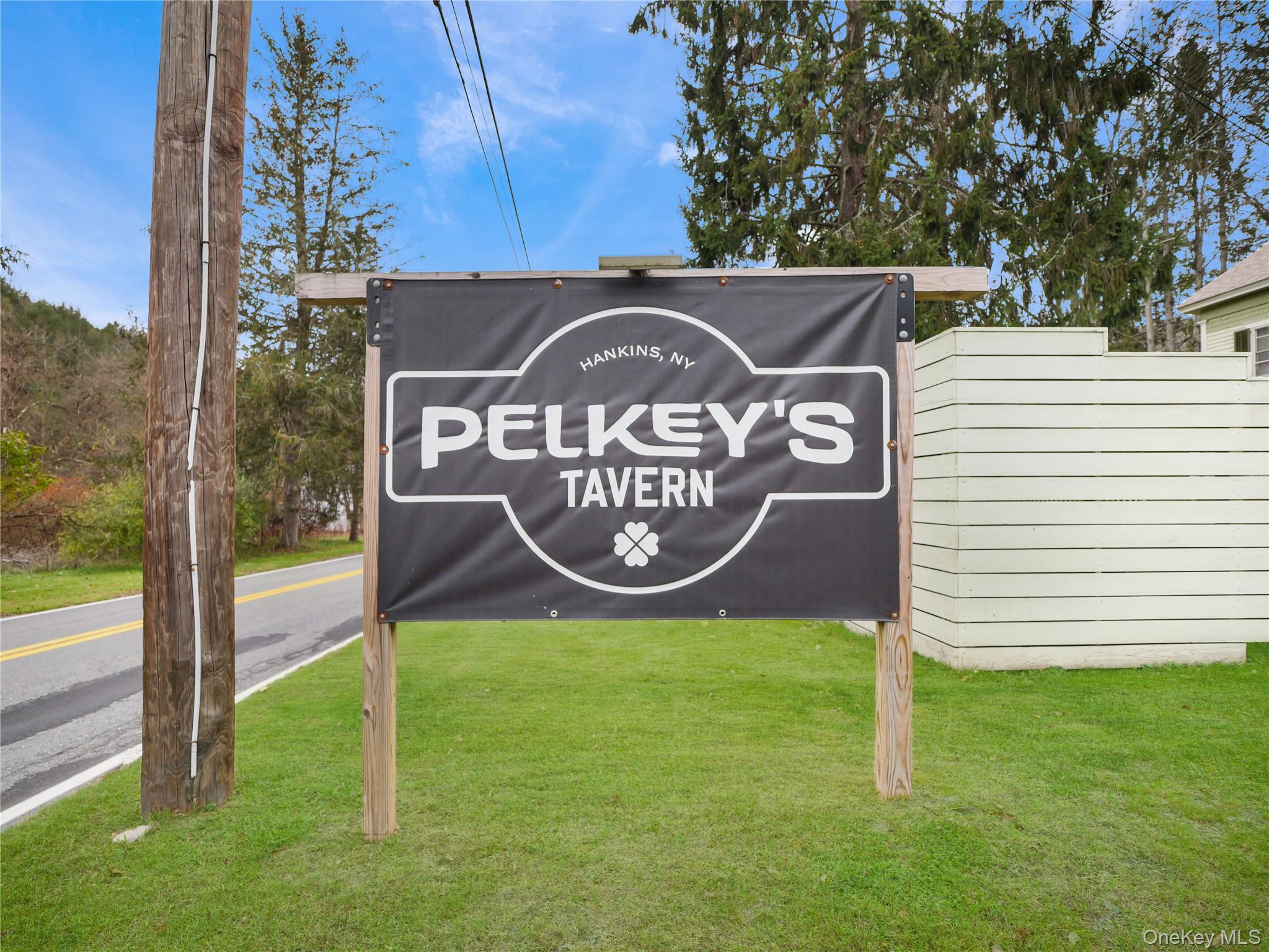 553 County Road 94, Hankins, NY 12741