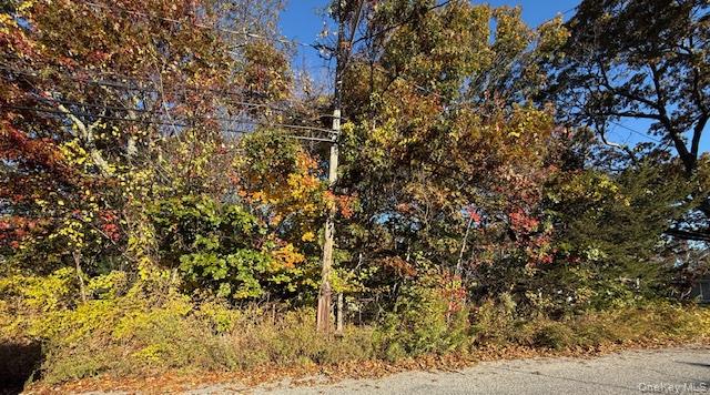 48 Newton Boulevard, Ronkonkoma, NY 11779