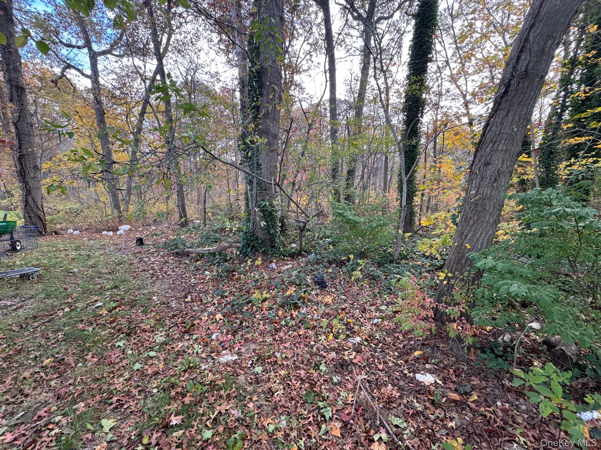 8 Columbo Drive, Deer Park, NY 11729