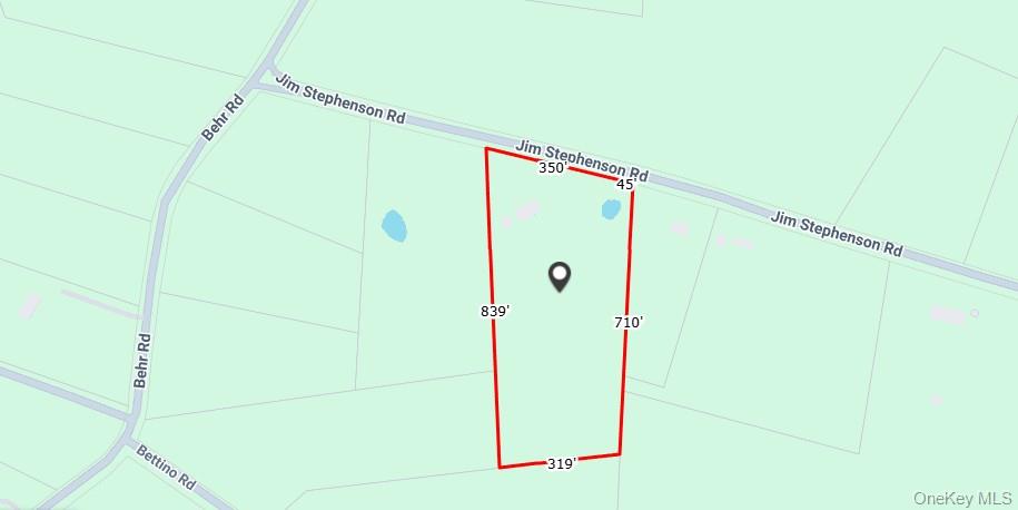 209 Jim Stephenson Road, Jeffersonville, NY 12748