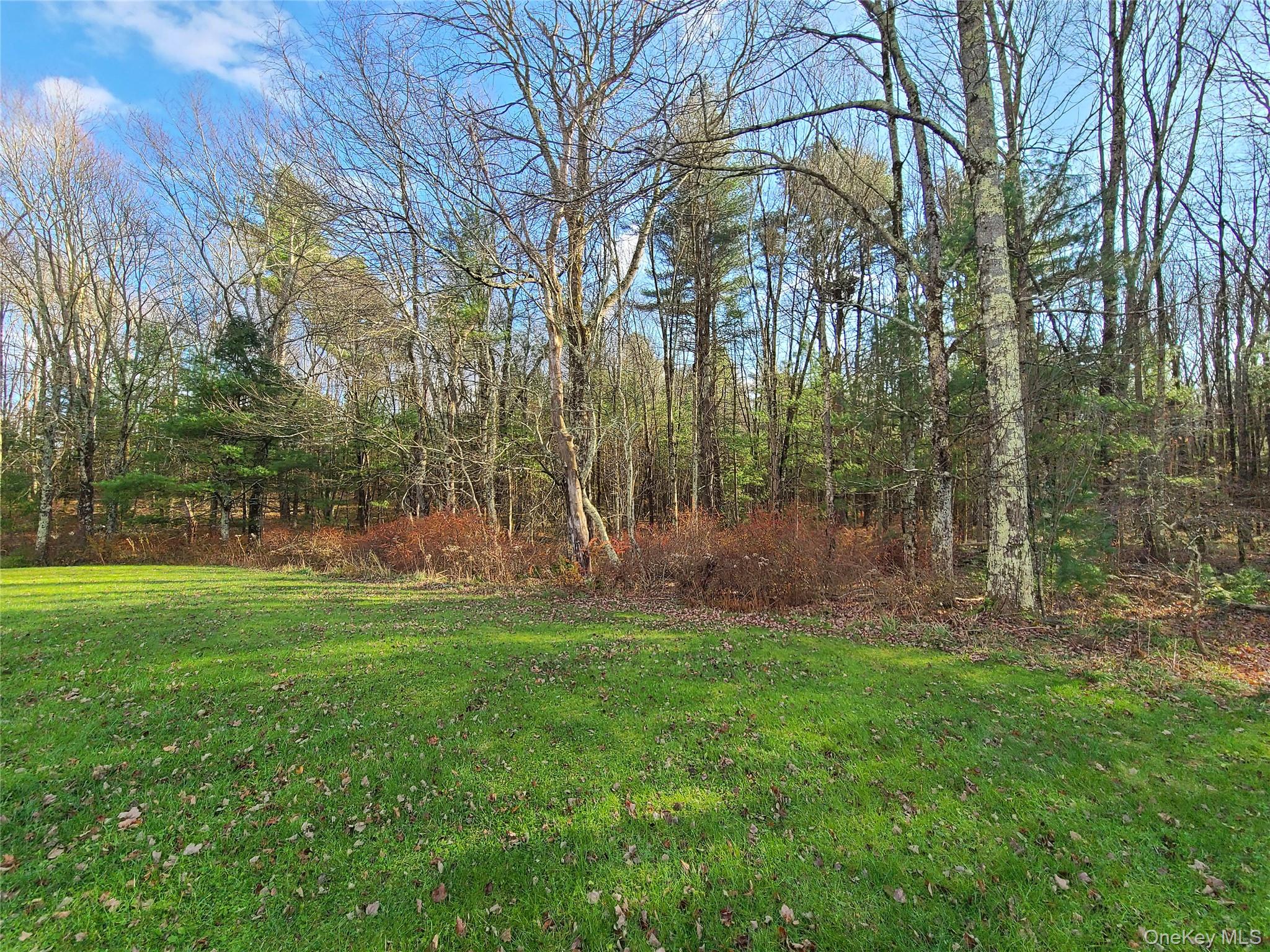 209 Jim Stephenson Road, Jeffersonville, NY 12748