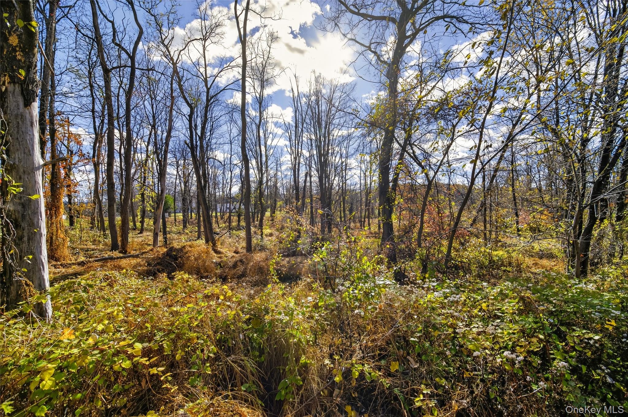 77 Pine Island Turnpike, Warwick, NY 10990