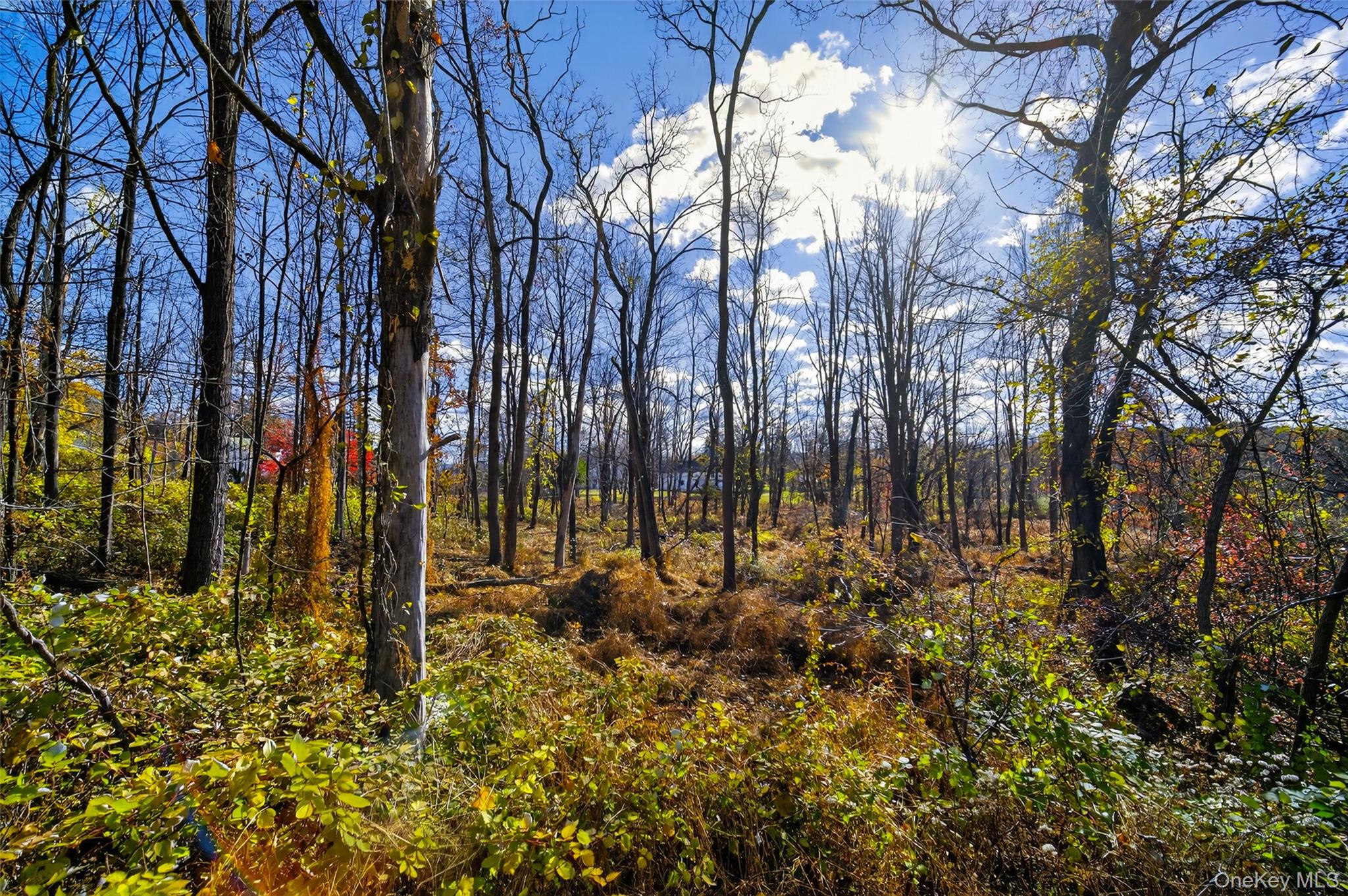 77 Pine Island Turnpike, Warwick, NY 10990