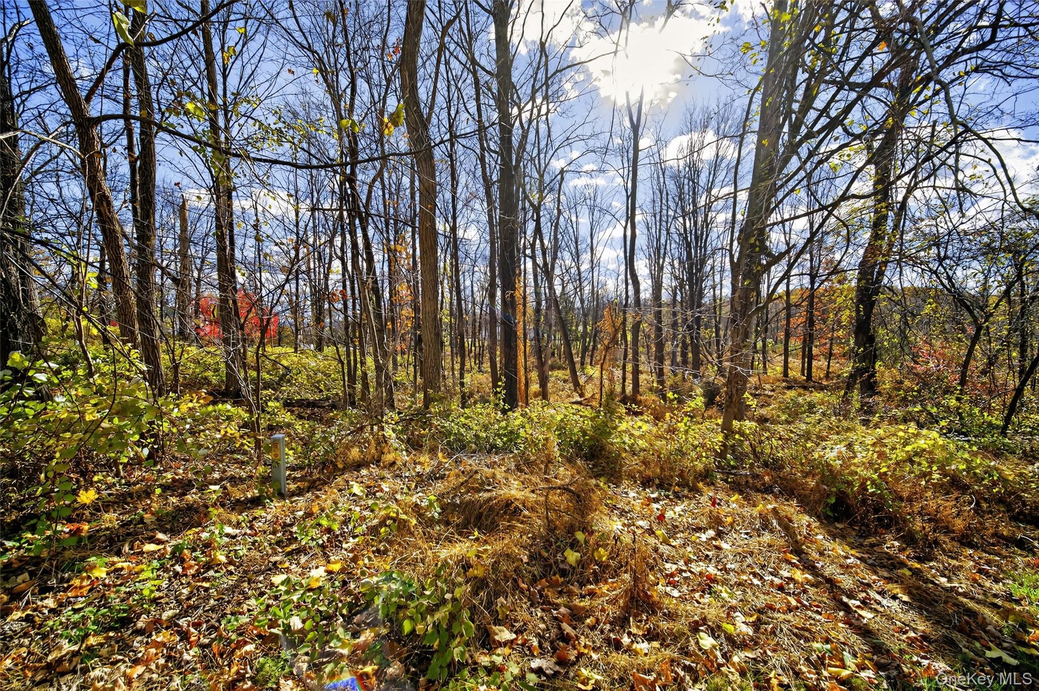 77 Pine Island Turnpike, Warwick, NY 10990