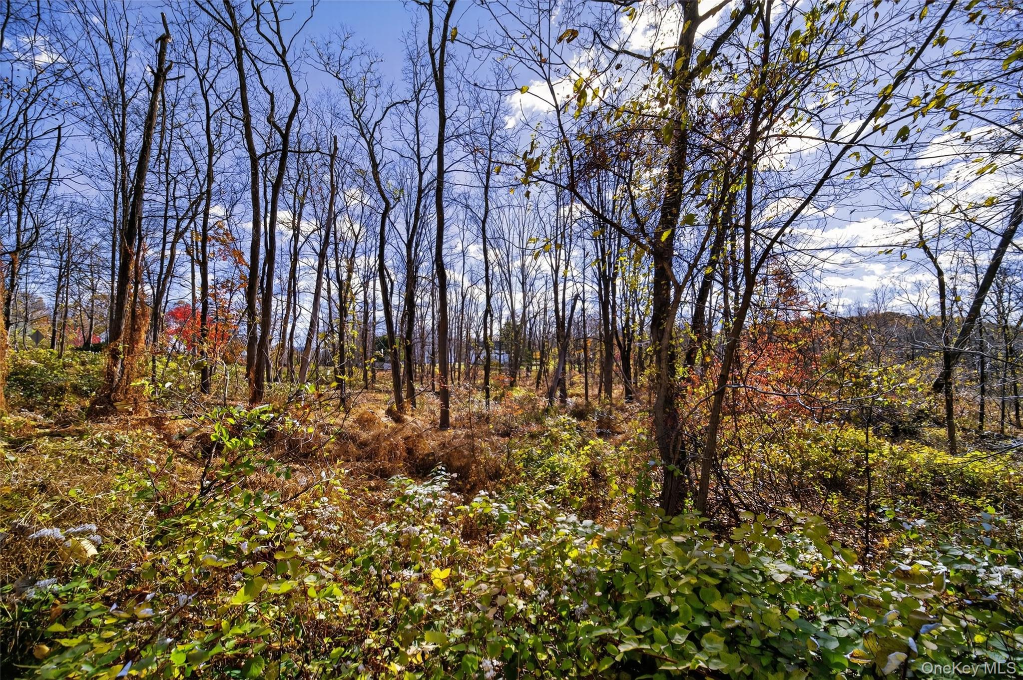 77 Pine Island Turnpike, Warwick, NY 10990