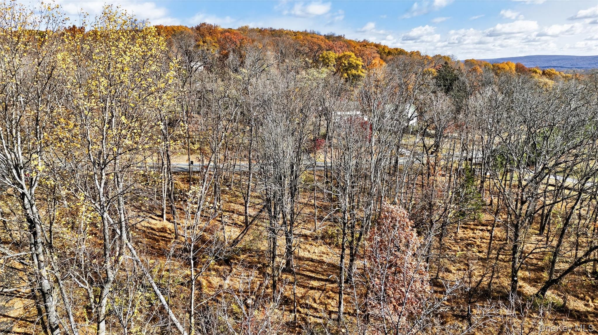 77 Pine Island Turnpike, Warwick, NY 10990