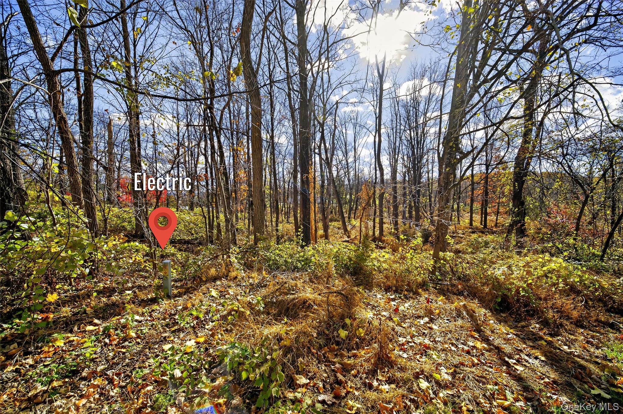 77 Pine Island Turnpike, Warwick, NY 10990