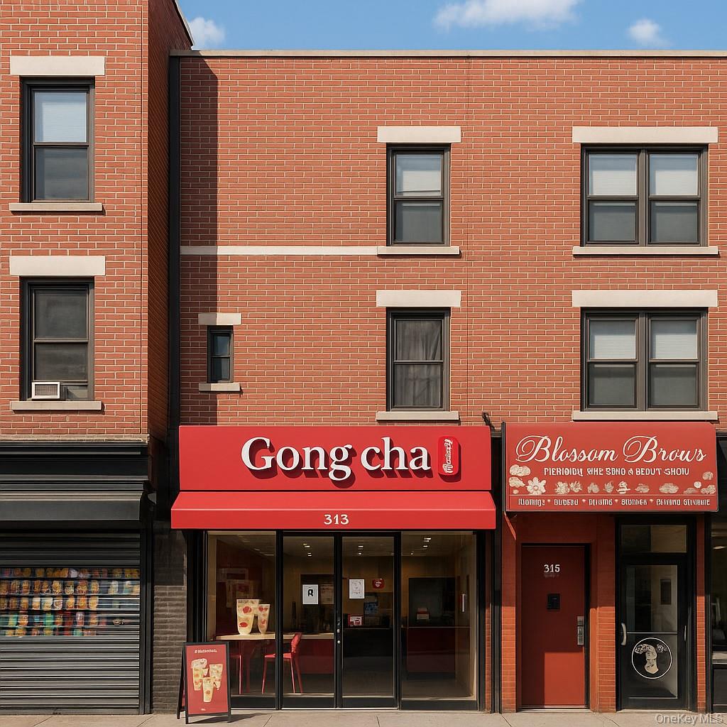 313 9th Street, Brooklyn, NY 11215