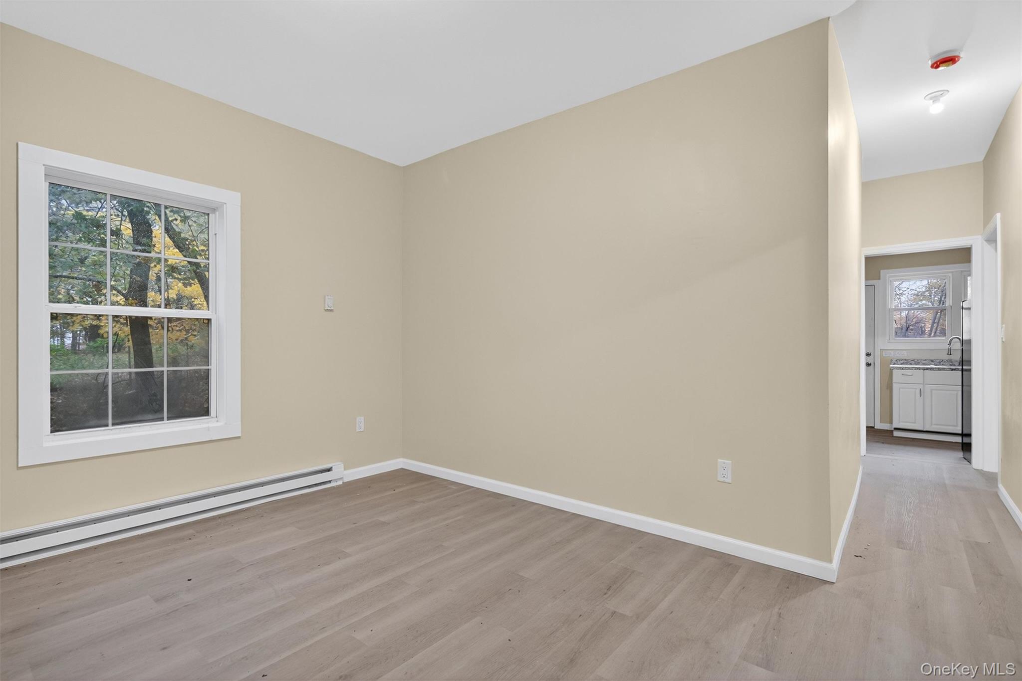 8 Cottage Street EXT, Monticello, NY 12701