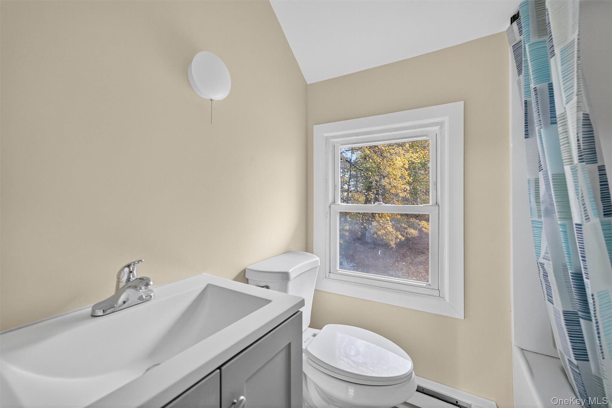 8 Cottage Street EXT, Monticello, NY 12701