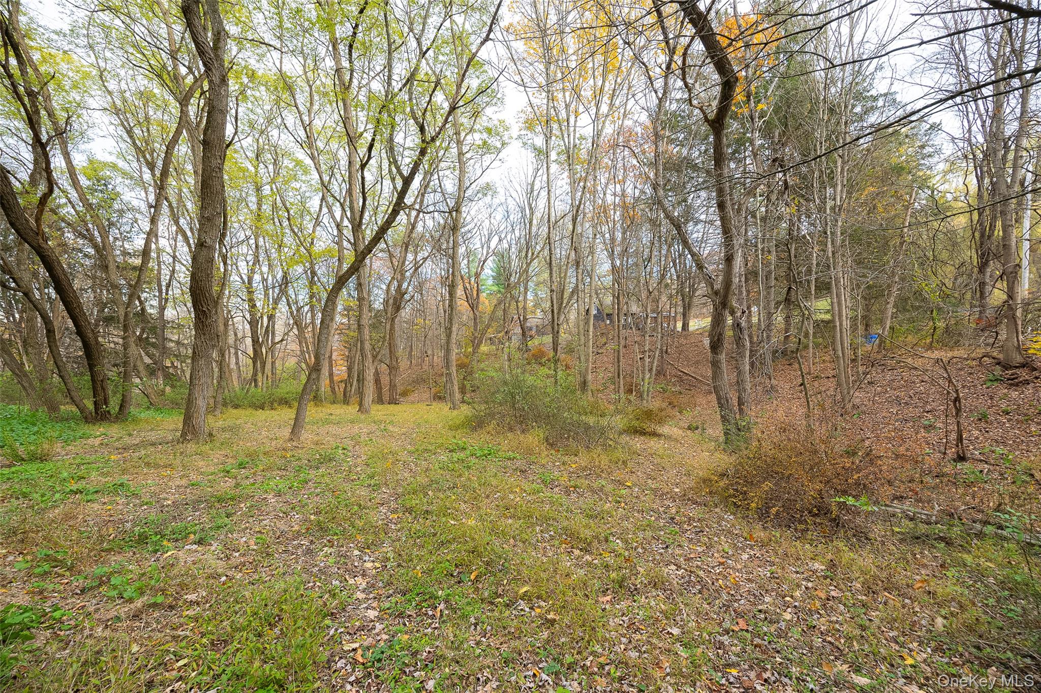 475 East Kerley Corners Road, Tivoli, NY 12583