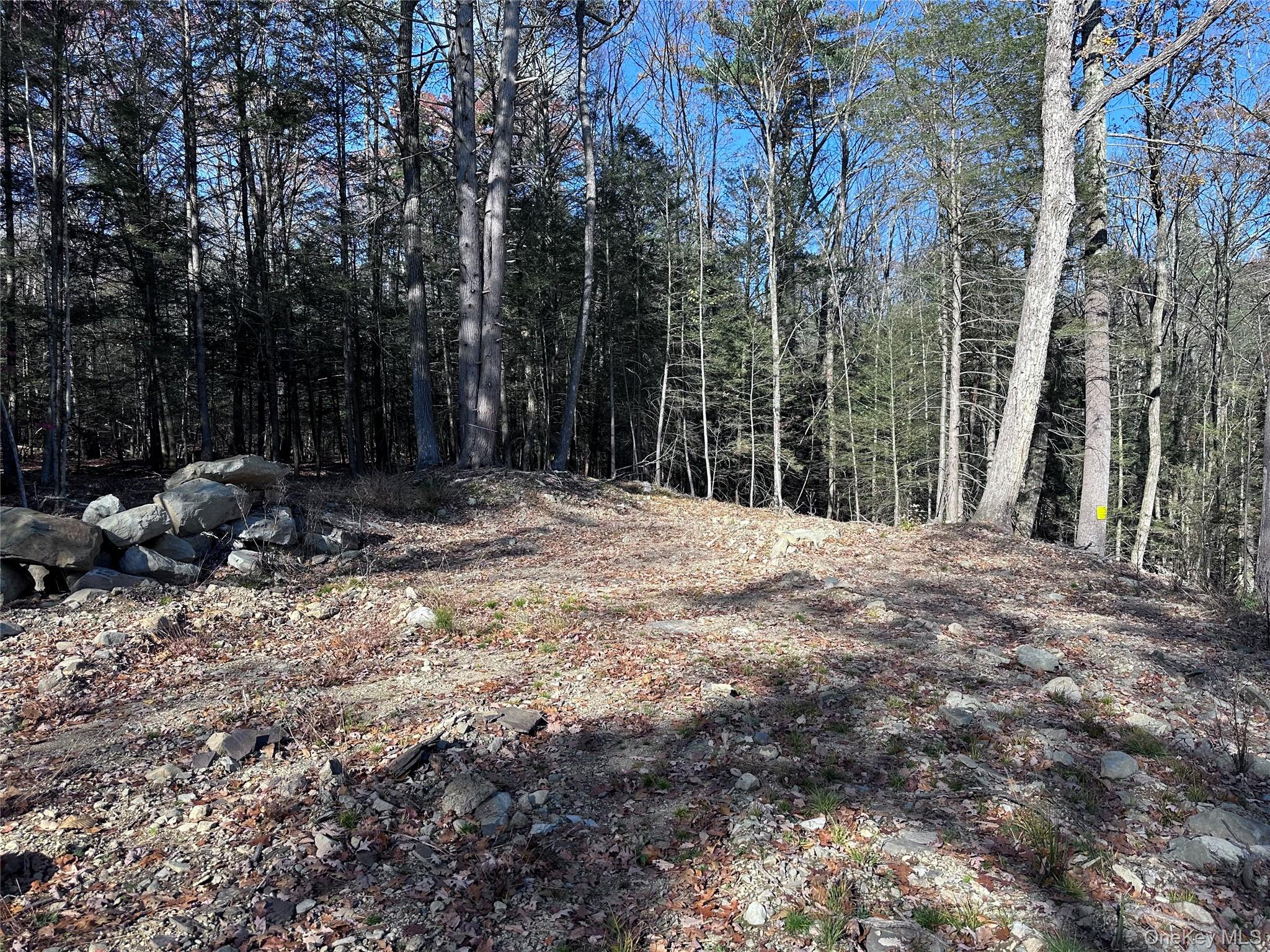 1470 County Road 2, Olivebridge, NY 12461