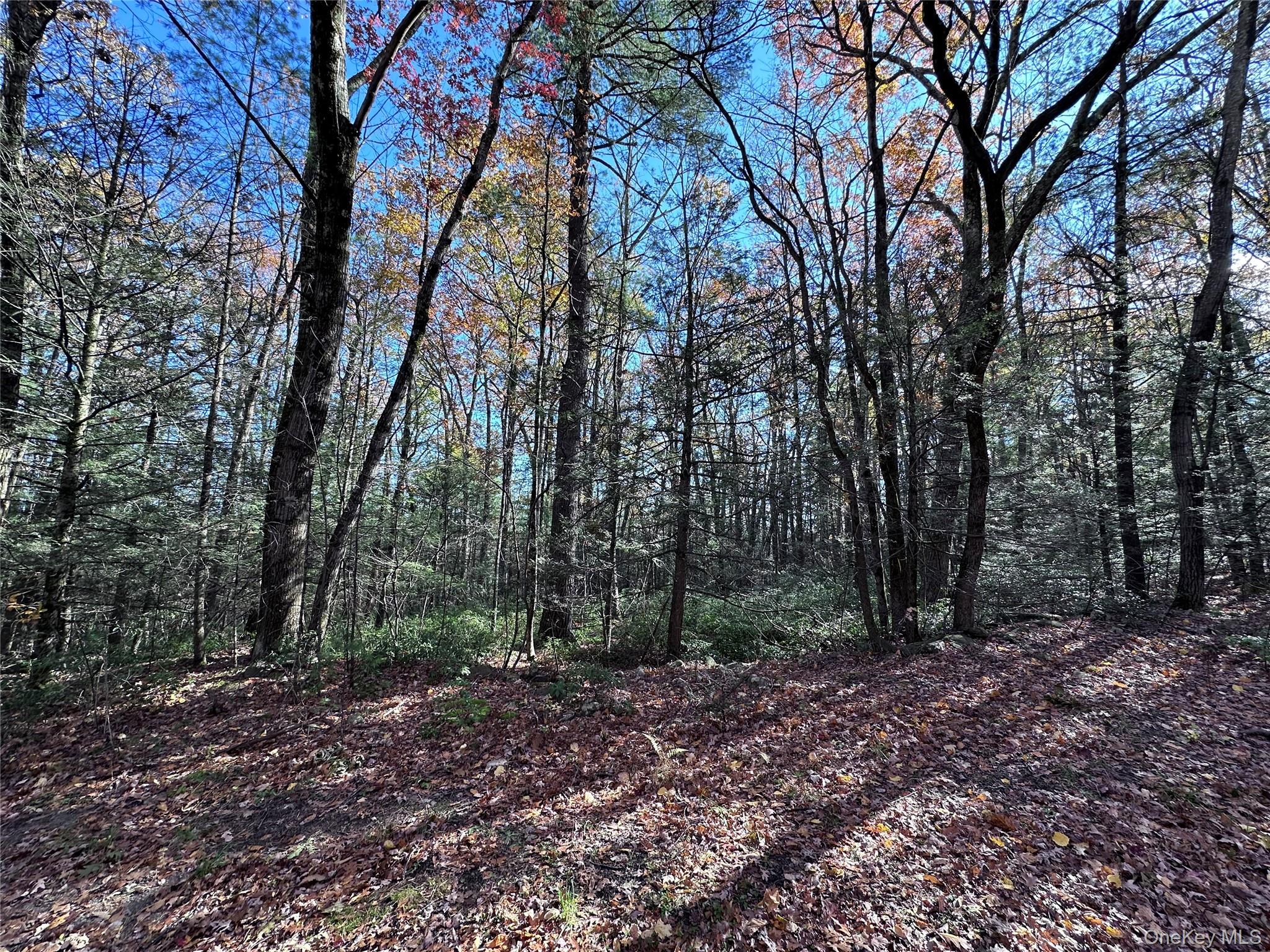 Lot 2 Upper Cherrytown Road, Kerhonkson, NY 12446