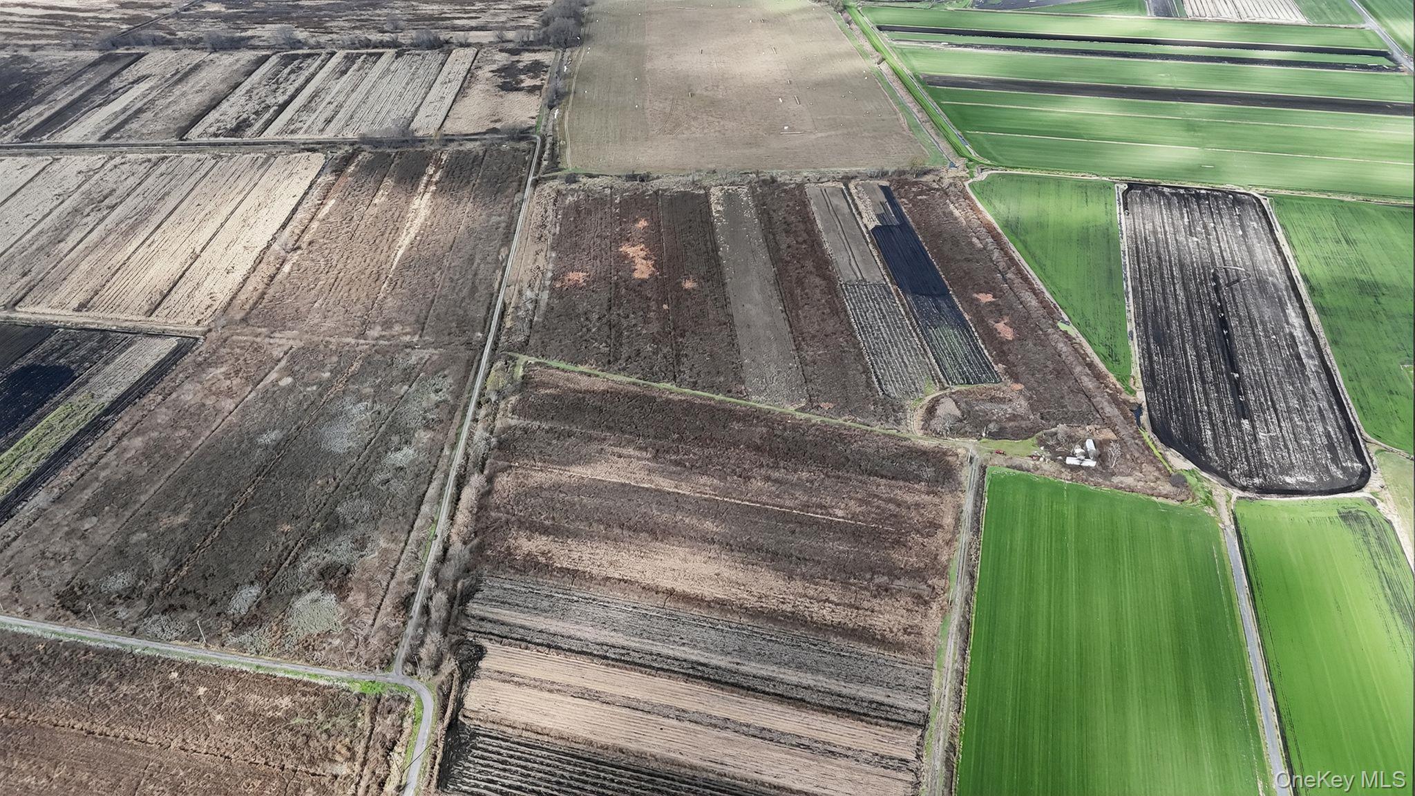 60 Bierstine Lane, Pine Island, NY 10969