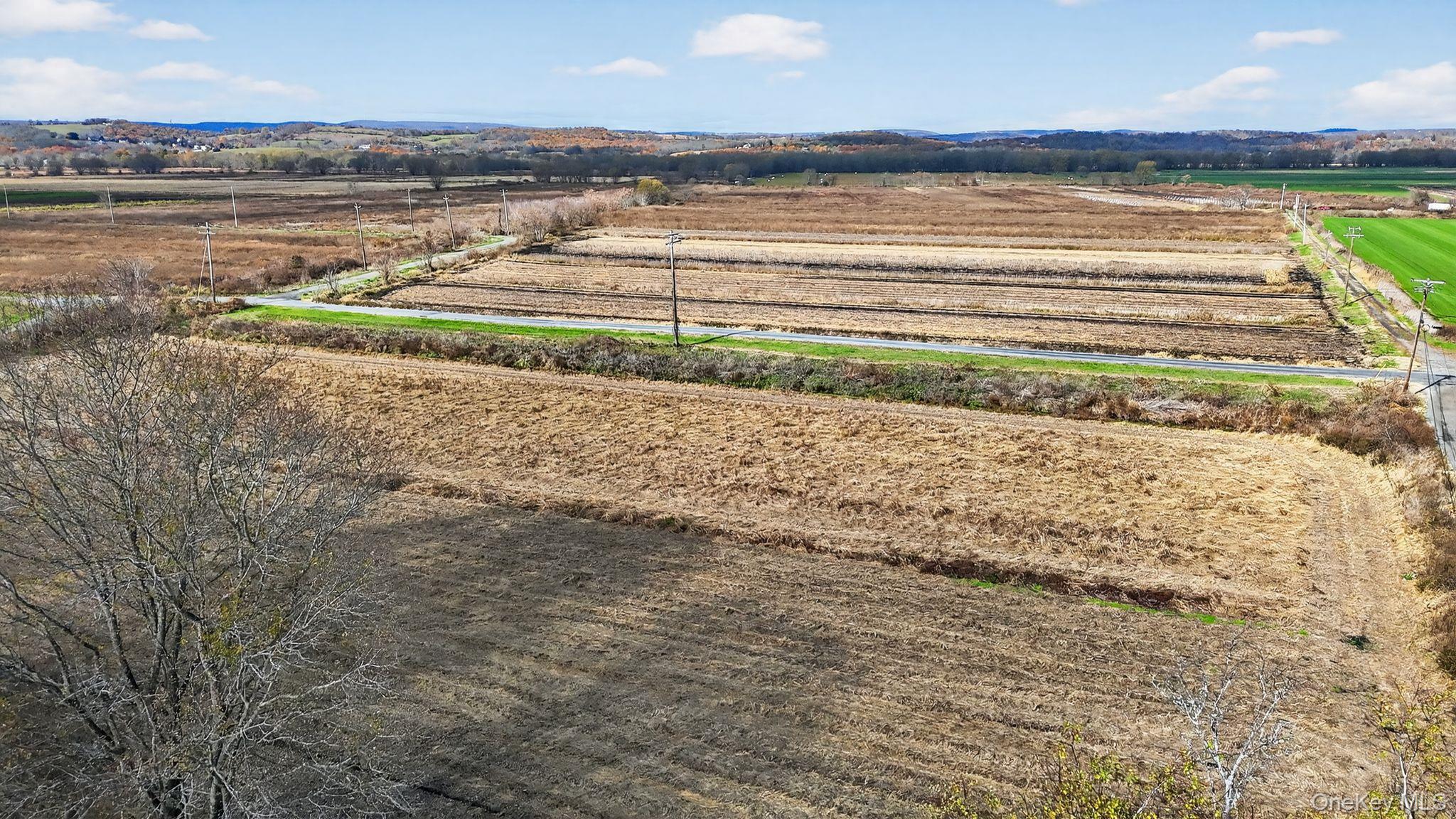 60 Bierstine Lane, Pine Island, NY 10969