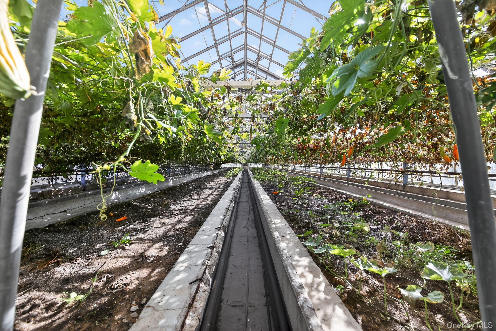 60 Bierstine Lane, Pine Island, NY 10969