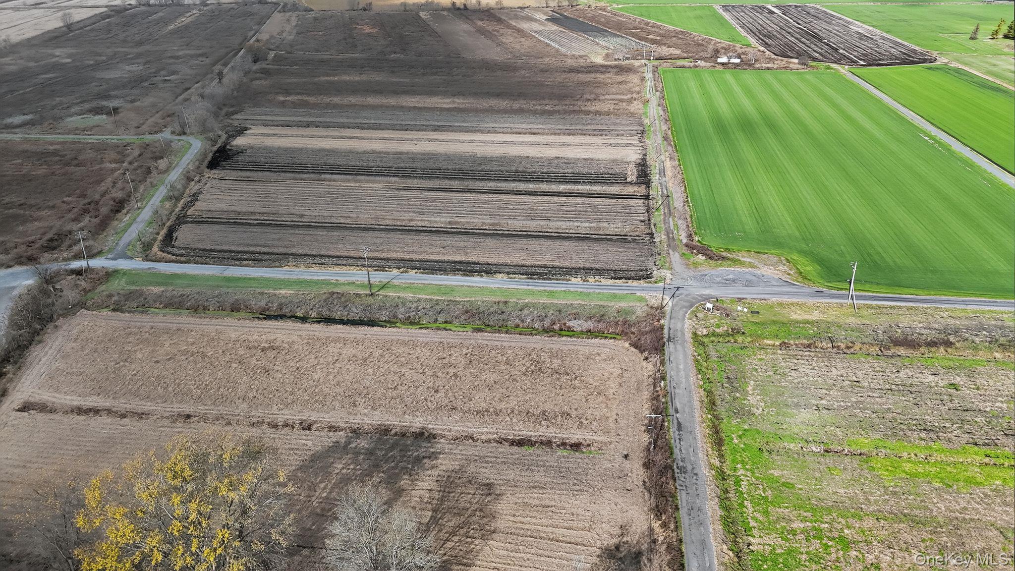 60 Bierstine Lane, Pine Island, NY 10969