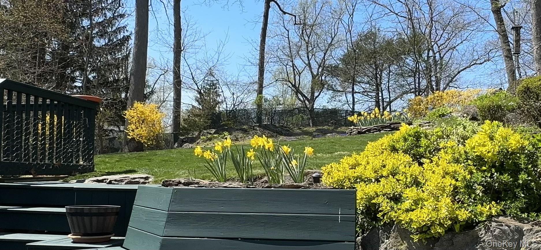 56 Belleau Avenue, New Rochelle, NY 10804