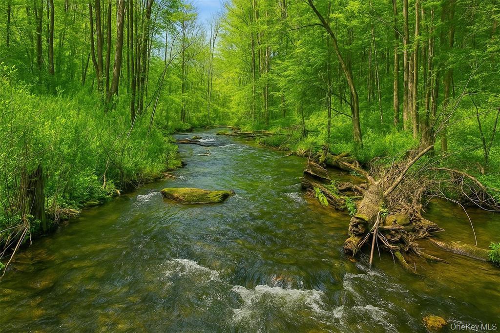 0 Mill Road, Millerton, NY 12546