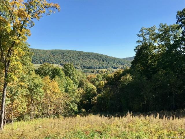 0 Mill Road, Millerton, NY 12546