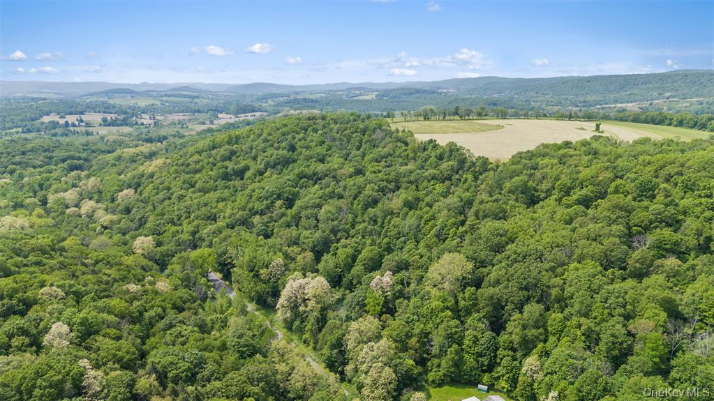 0 Mill Road, Millerton, NY 12546