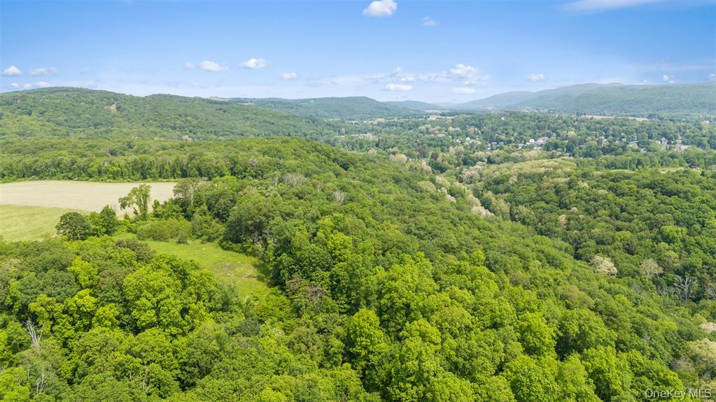 0 Mill Road, Millerton, NY 12546