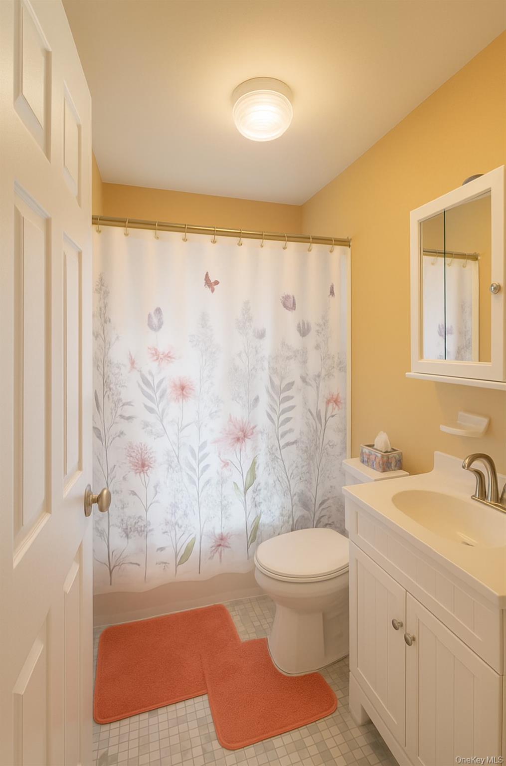 217-24 121 Avenue, Cambria Heights, NY 11411