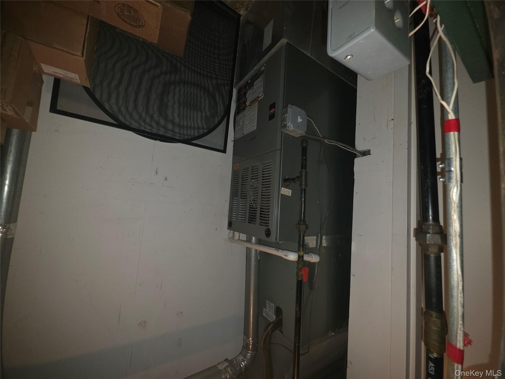 1527 E 29th Street, Brooklyn, NY 11229