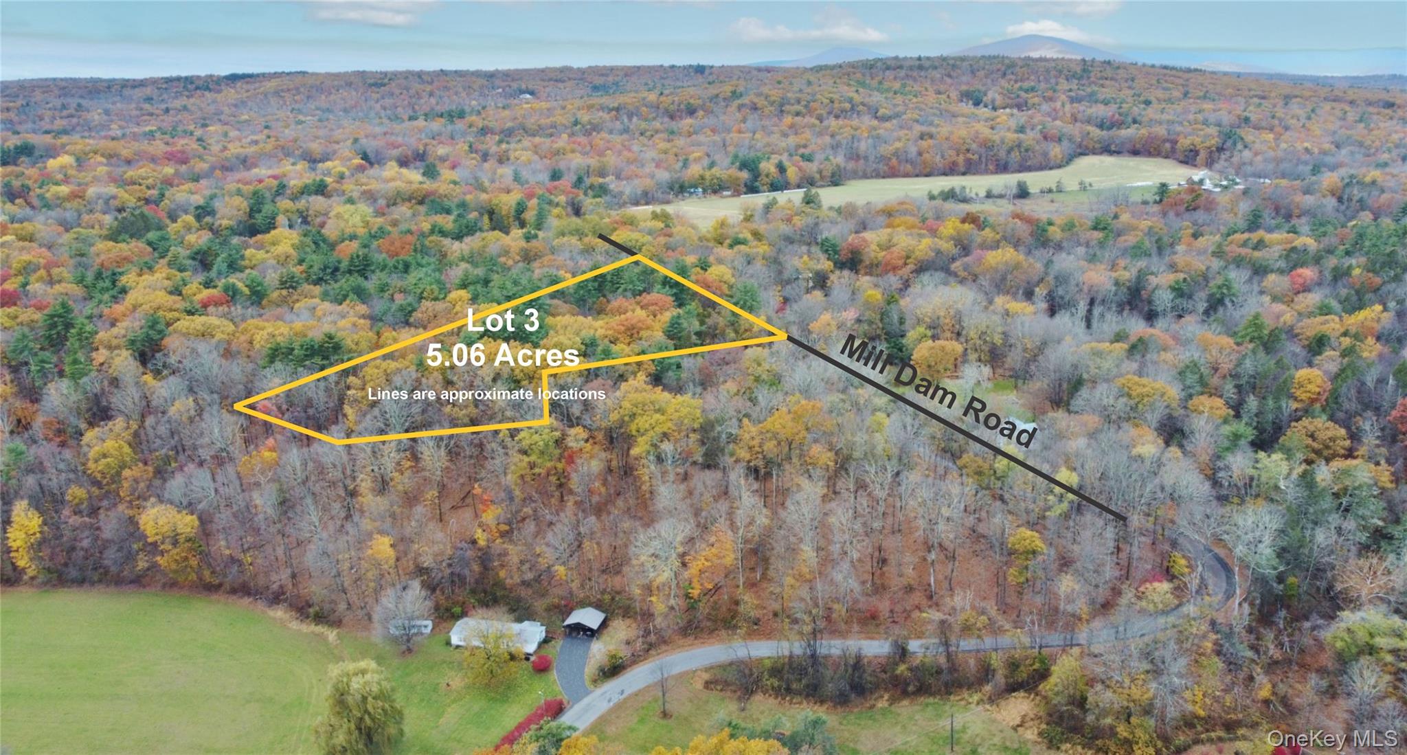 155 Mill Dam Road, Stone Ridge, NY