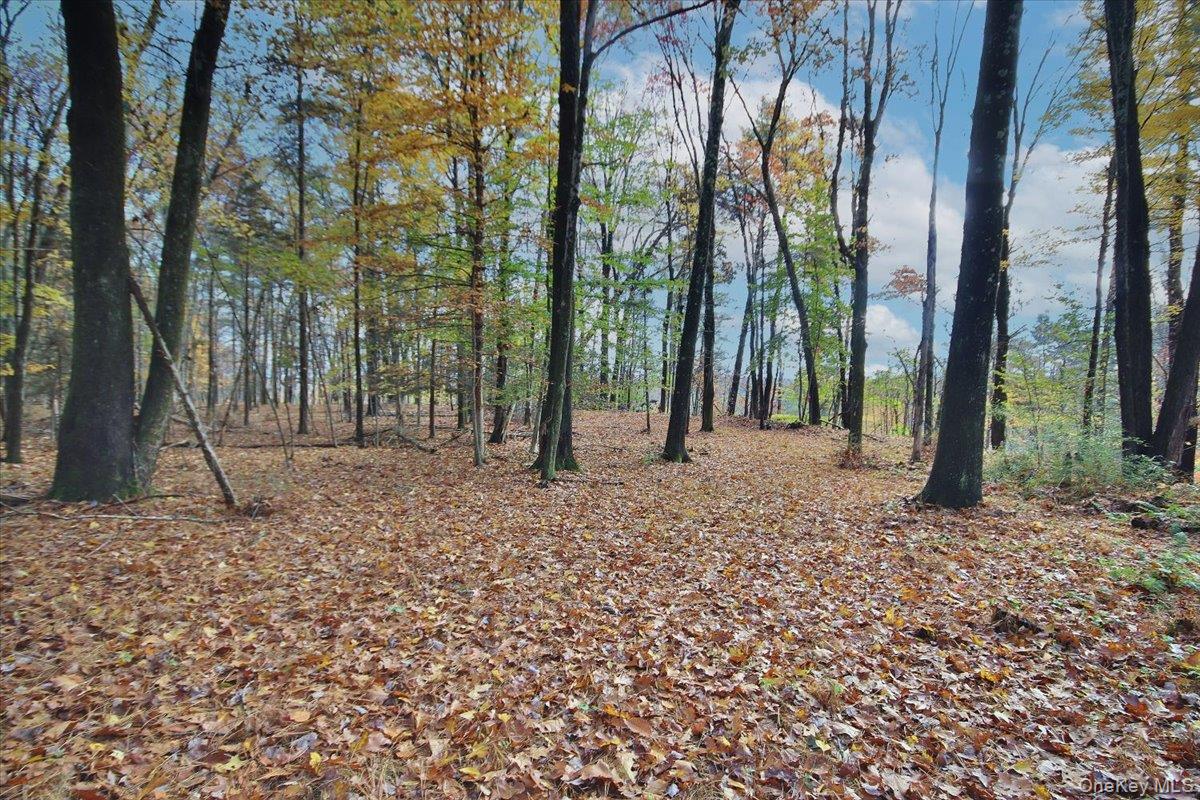 155 Mill Dam Road, Stone Ridge, NY