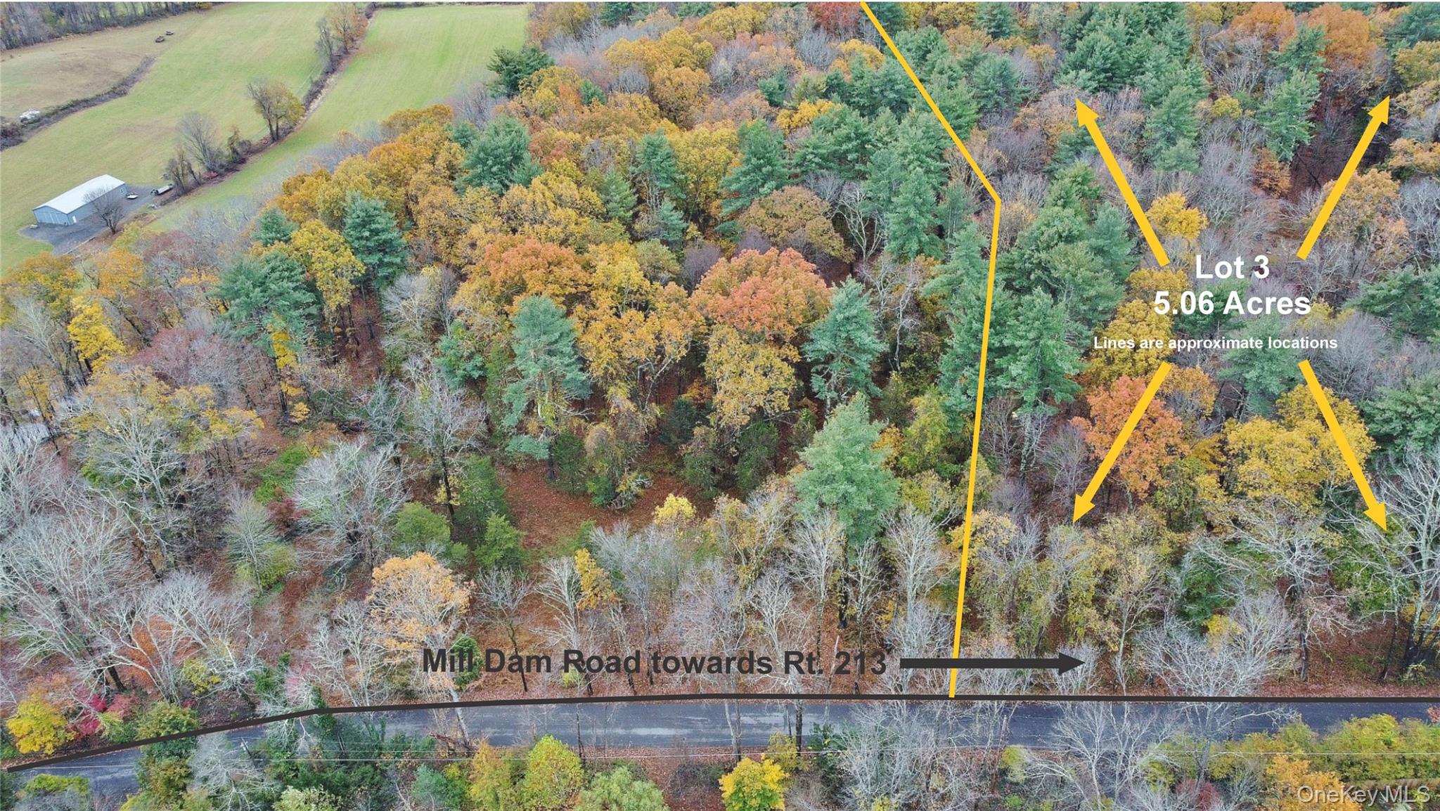 155 Mill Dam Road, Stone Ridge, NY