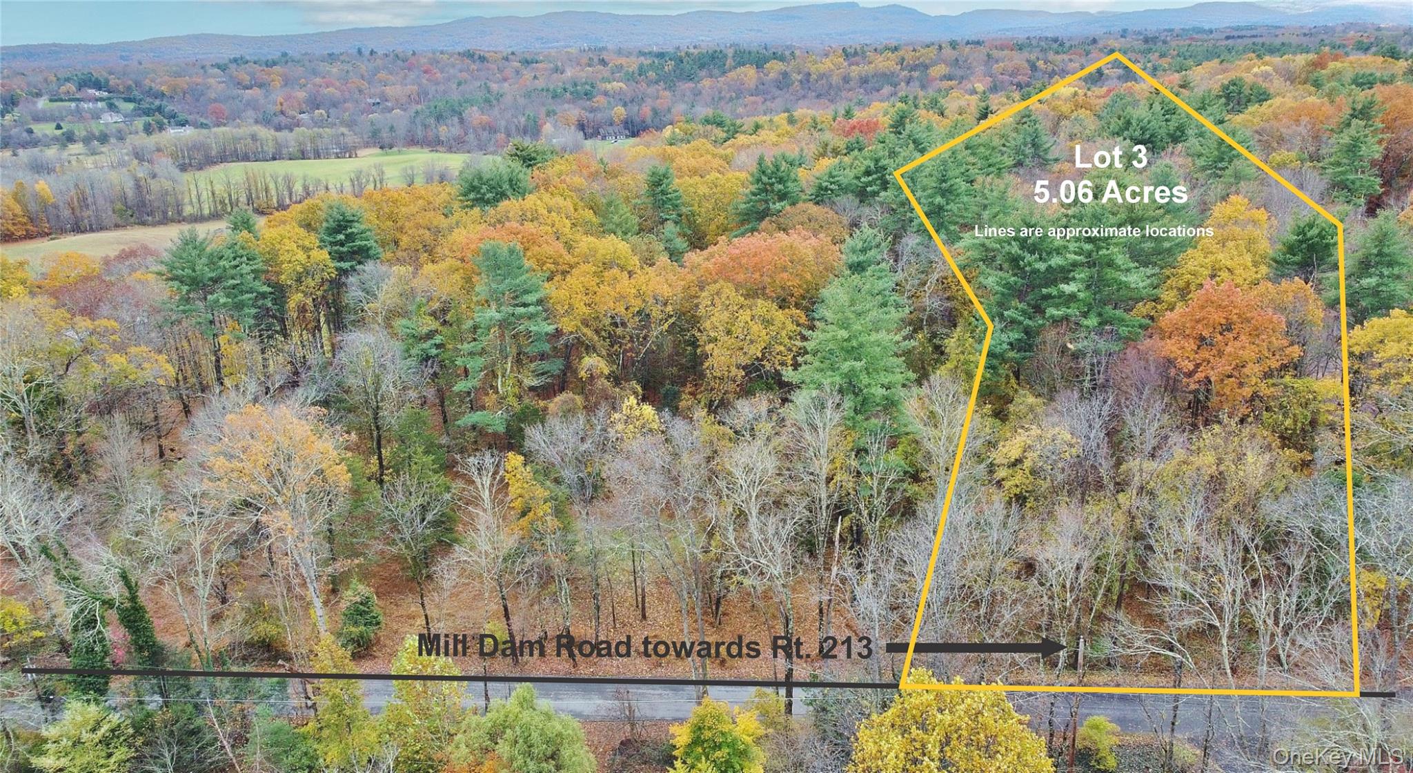 155 Mill Dam Road, Stone Ridge, NY