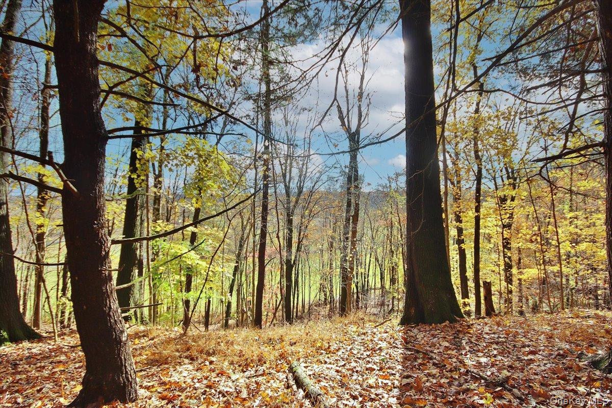 155 Mill Dam Road, Stone Ridge, NY