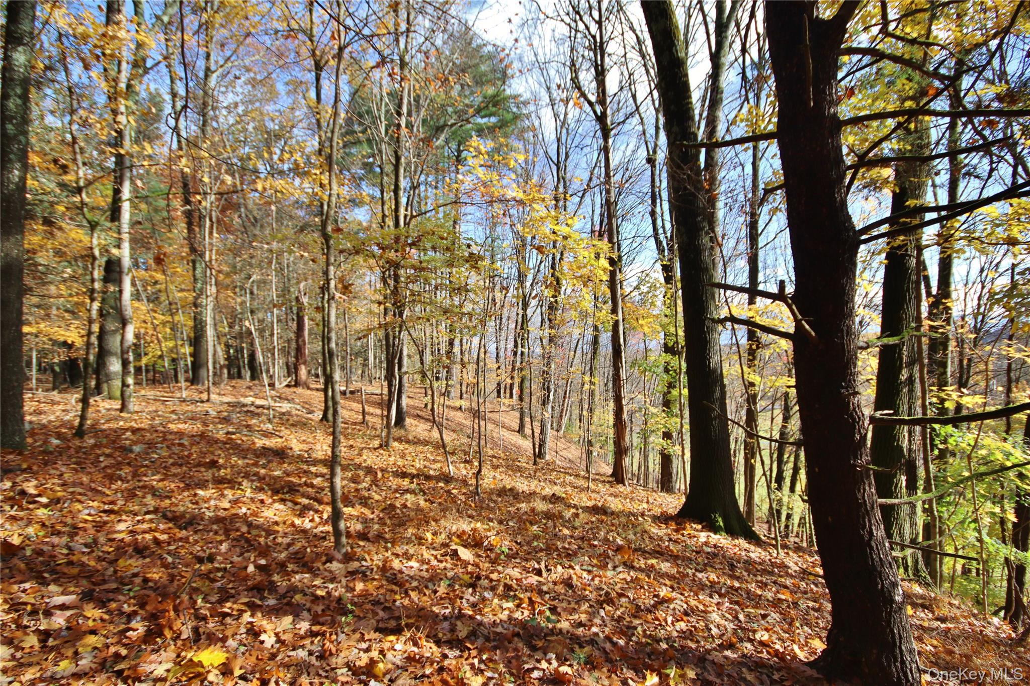 155 Mill Dam Road, Stone Ridge, NY