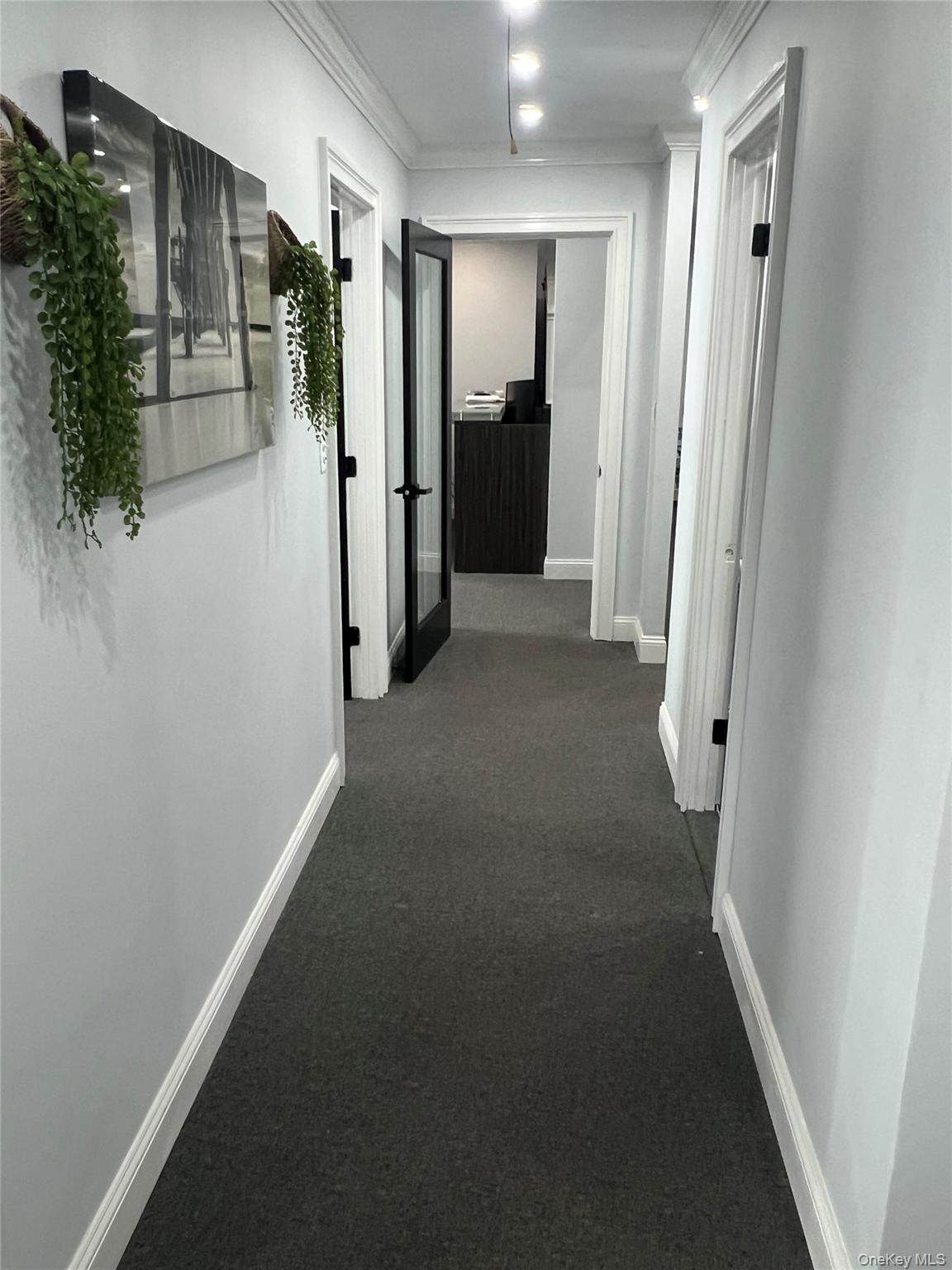 153 Stevens Avenue # #8, Mount Vernon, NY 10550