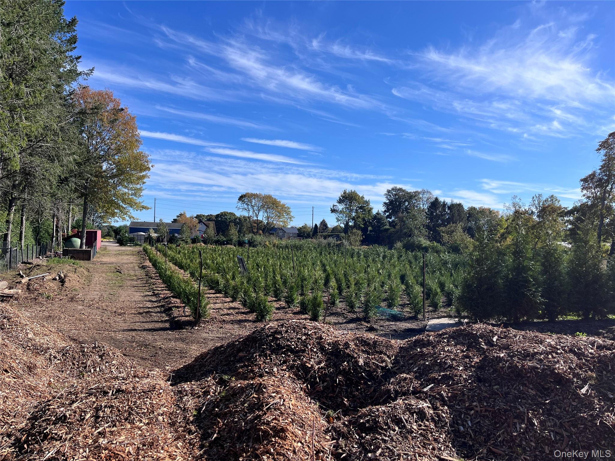 17525 County Road 48, Cutchogue, NY 11935