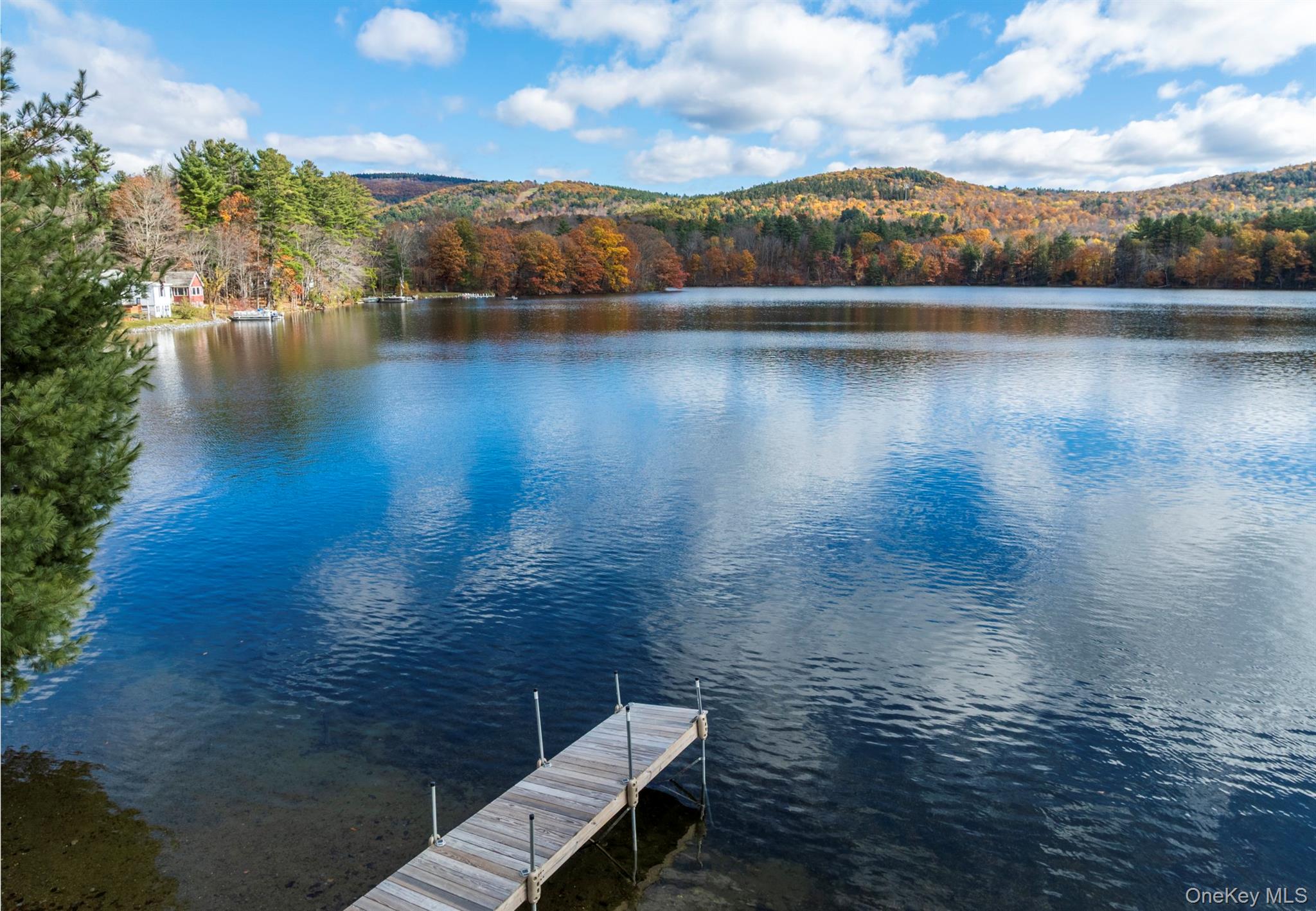 165 queechy lake drive, Canaan, NY 12029