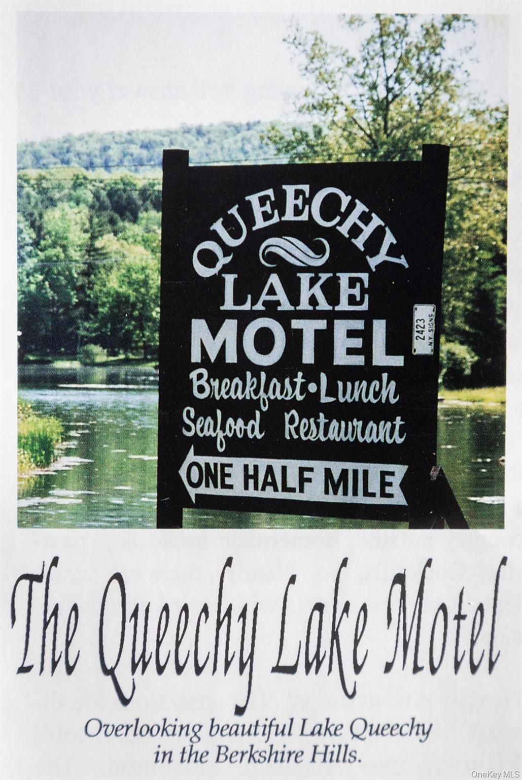 165 queechy lake drive, Canaan, NY 12029