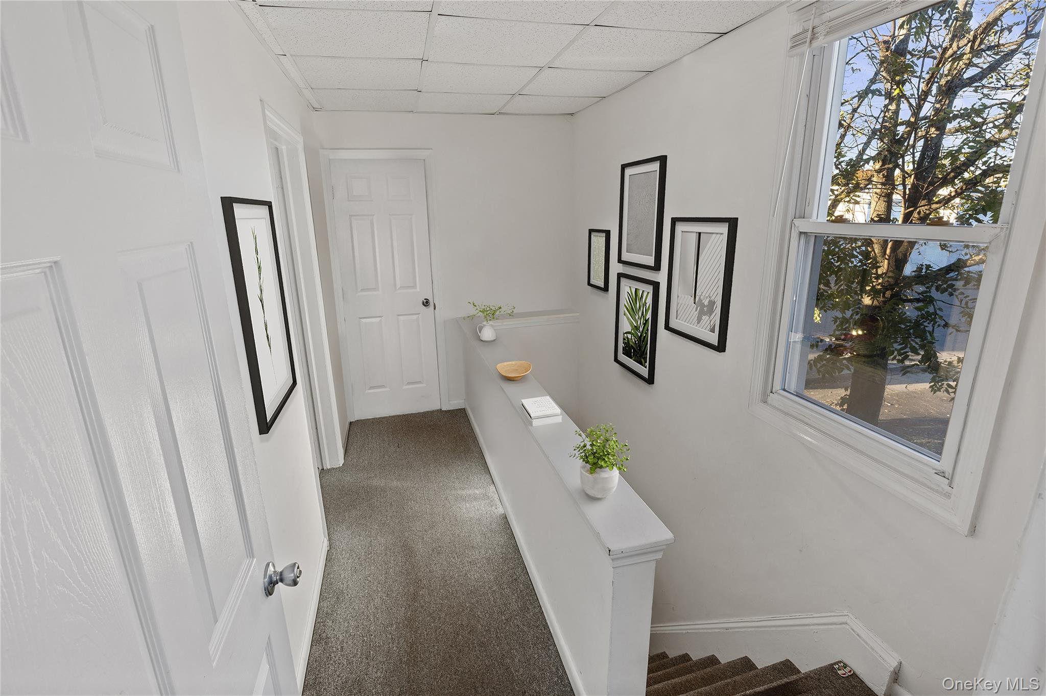 15 E Carl Street, Hicksville, NY 11801