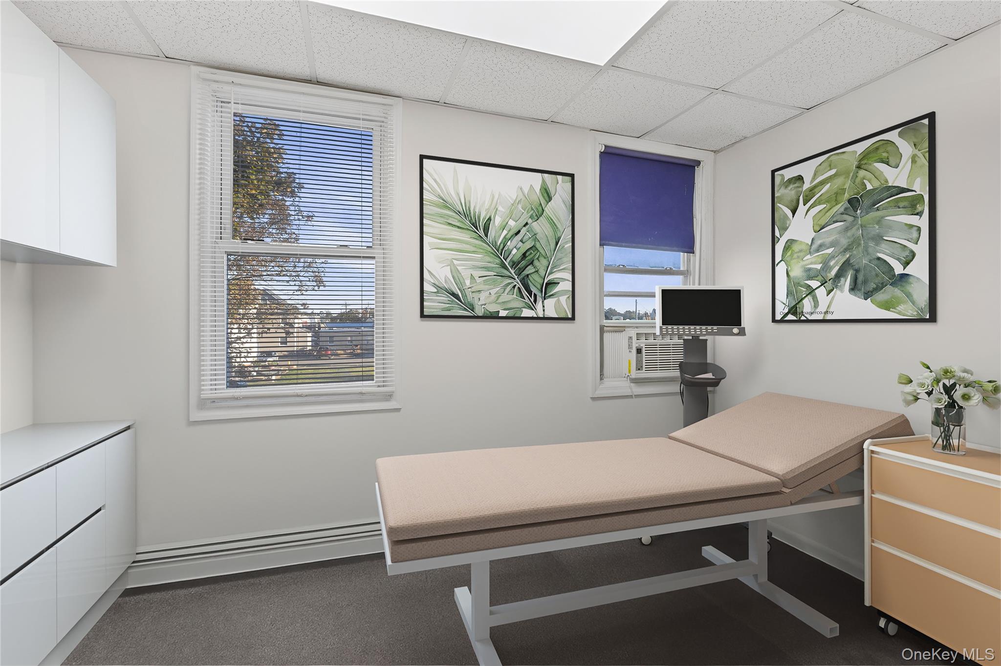 15 E Carl Street, Hicksville, NY 11801