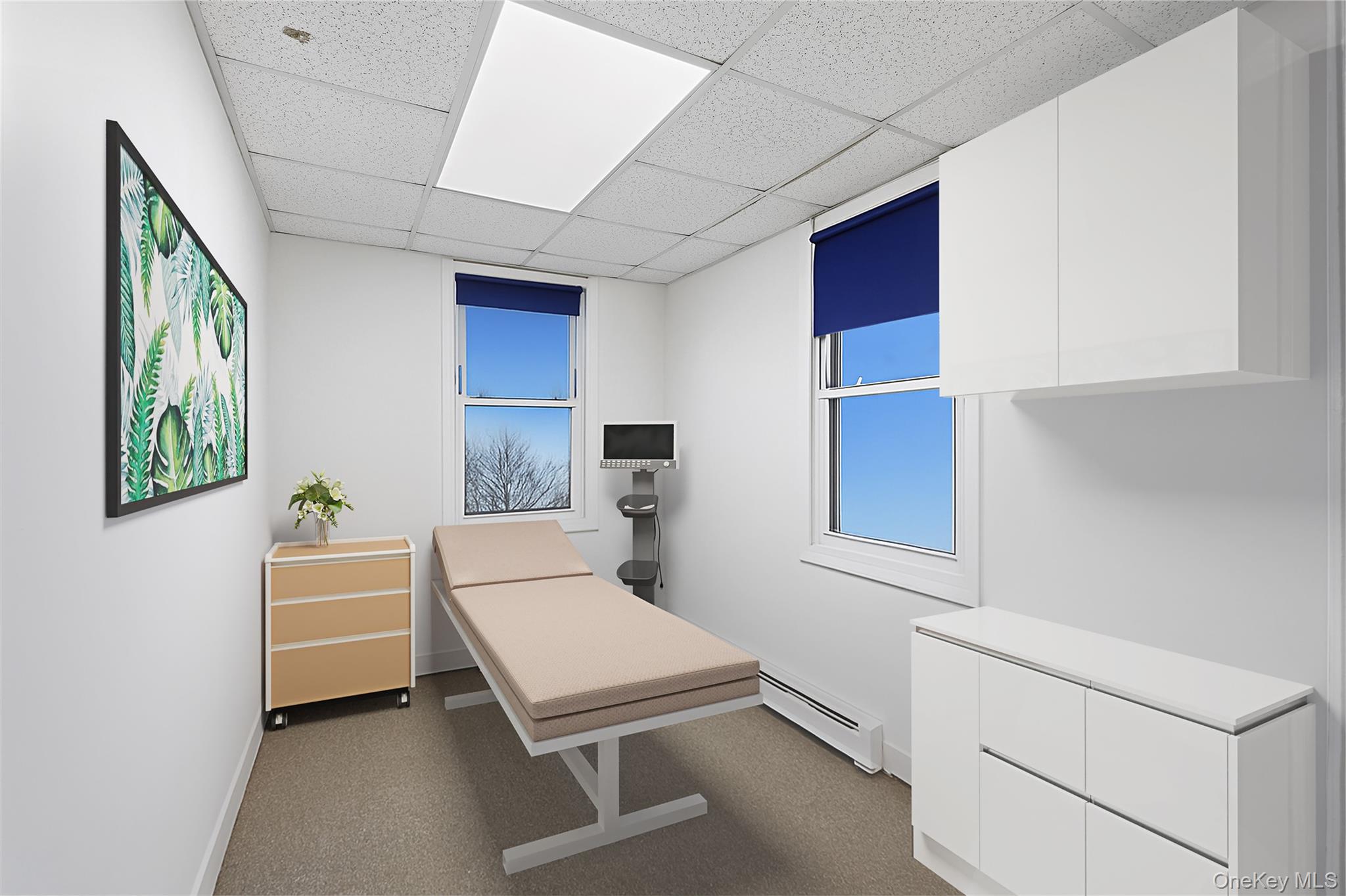 15 E Carl Street, Hicksville, NY 11801