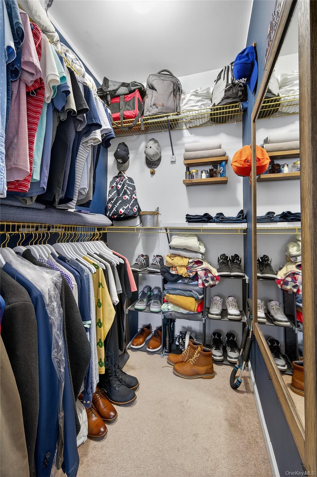 330 Maple Avenue # 19, Westbury, NY 11590