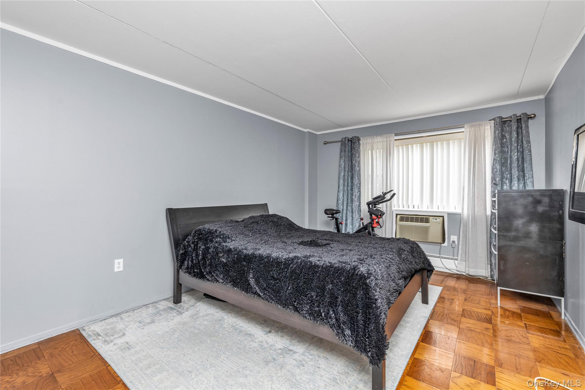 100 Clinton # 2N, Mineola, NY 11501