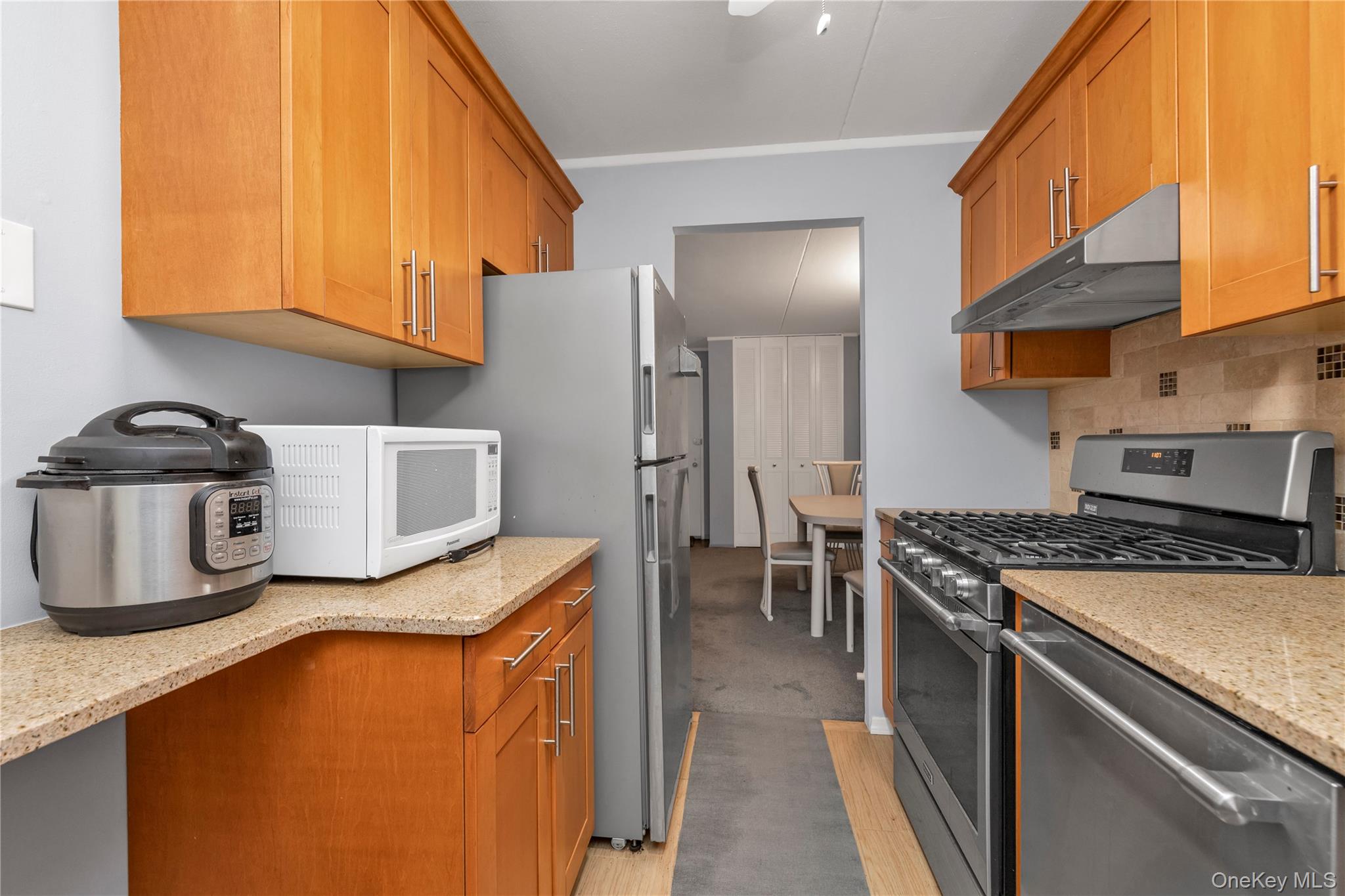 100 Clinton # 2N, Mineola, NY 11501