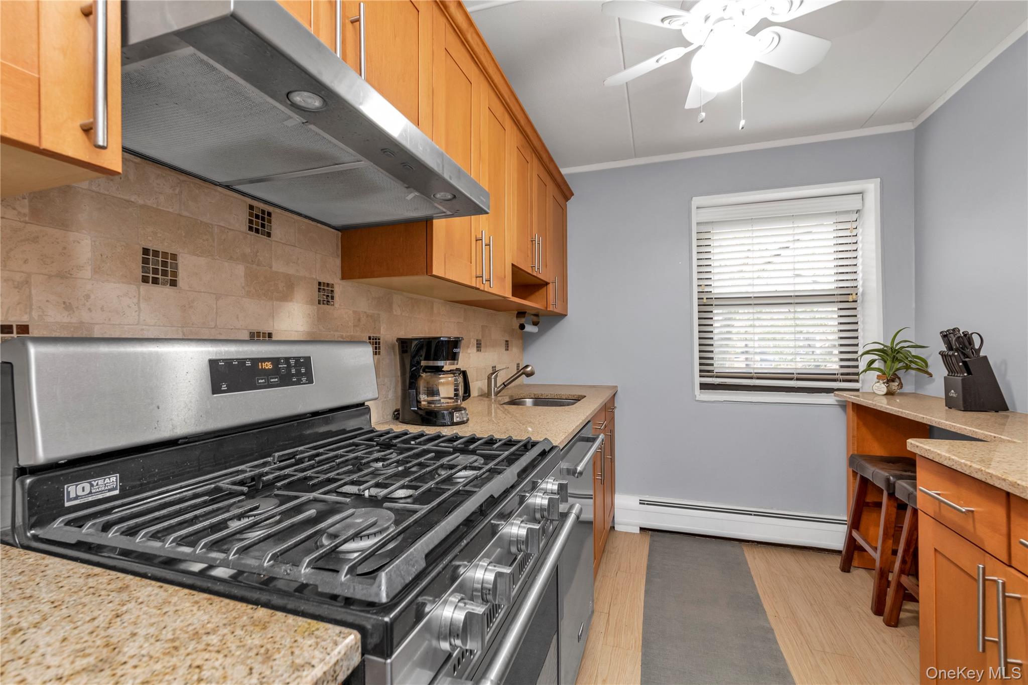 100 Clinton # 2N, Mineola, NY 11501